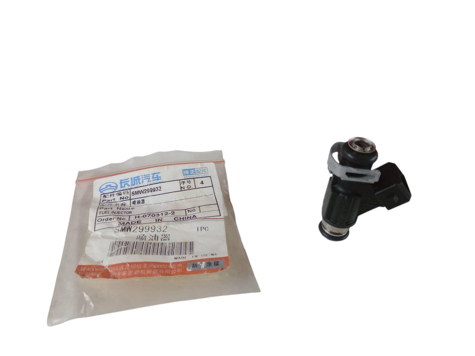 Iniettore GREAT WALL MOTOR Hover Serie (06>)