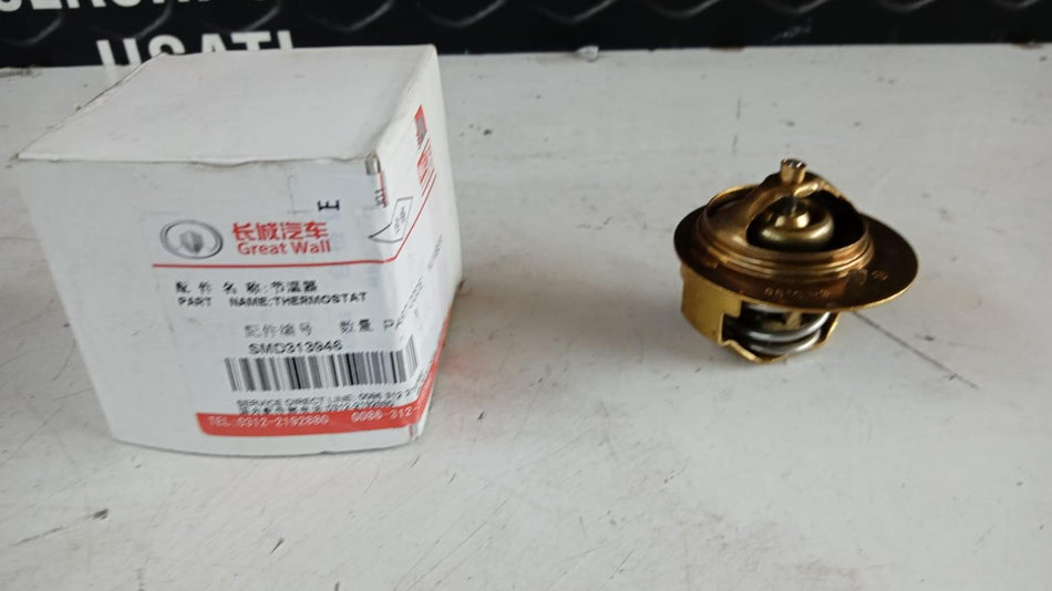 Termostato HAVAL H3 Serie (05>12)