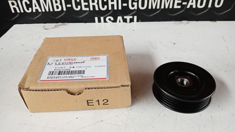 Puleggia guida cinghia HAVAL H3 Serie (05>12)