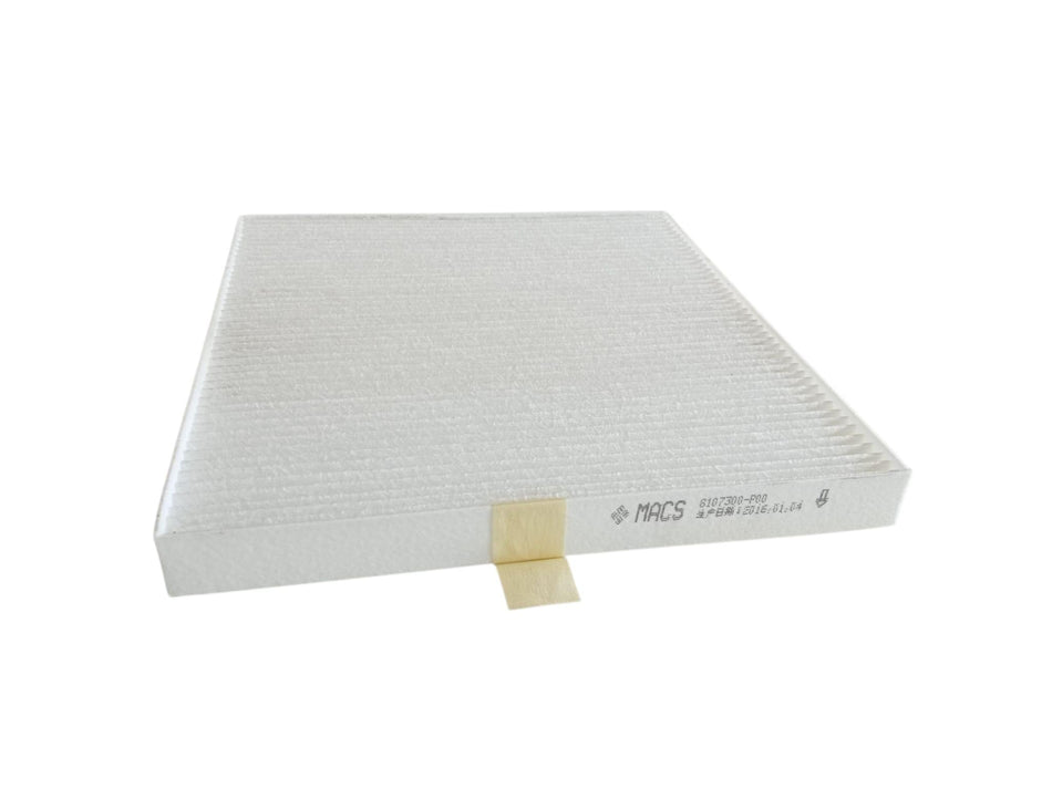 Filtro Aria GREAT WALL MOTOR Wingle 5 Serie (10>21)