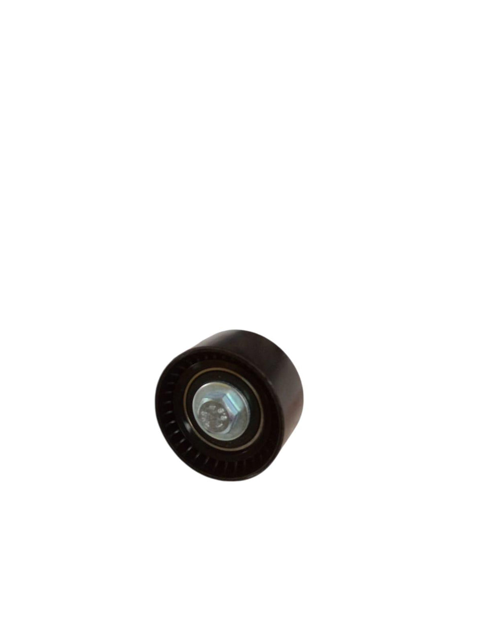 Cuscinetto tendicinghia HAVAL H5 Serie (23>)