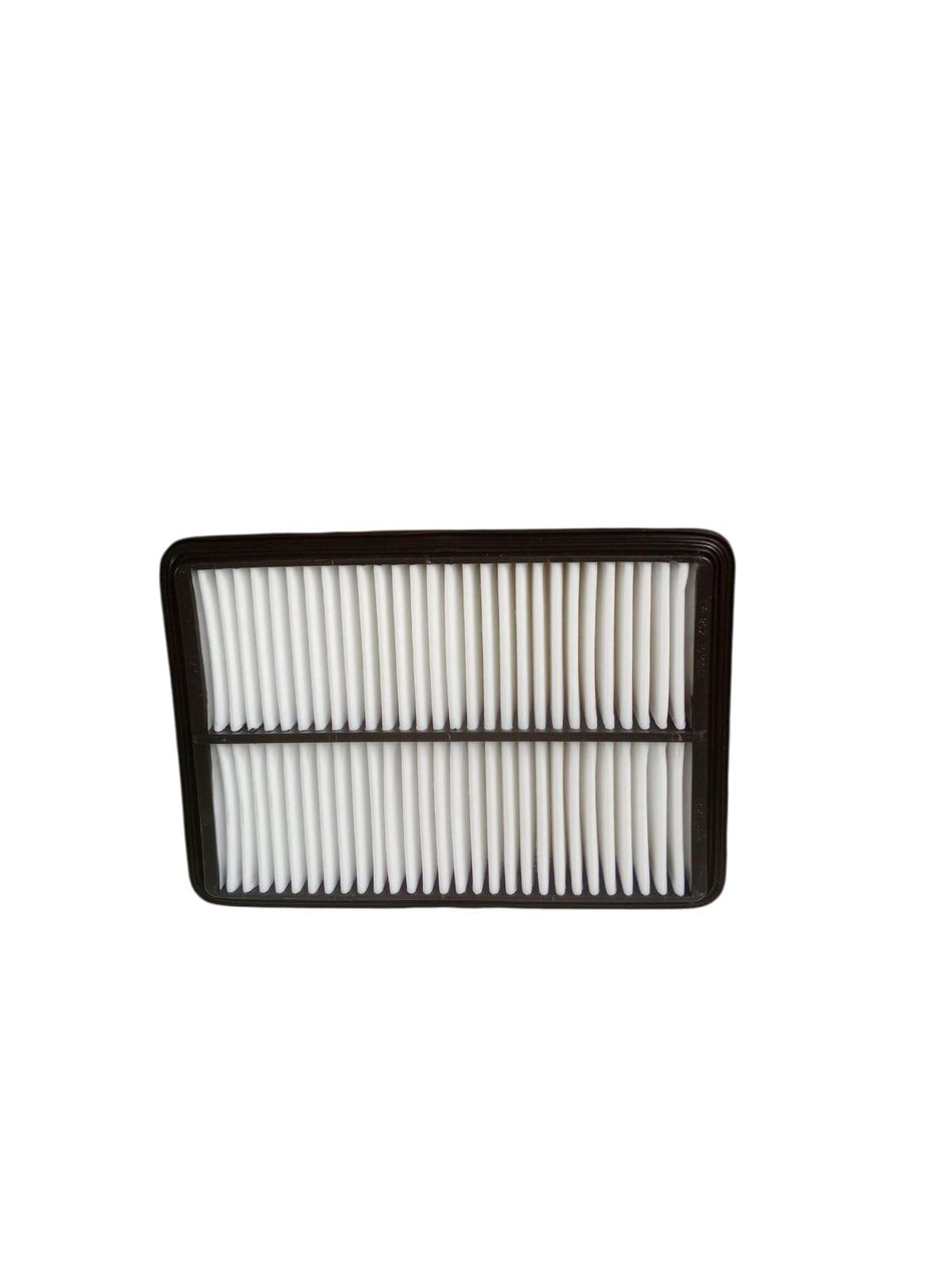 Filtro Aria GREAT WALL MOTOR Wingle 5 Serie (10>21)