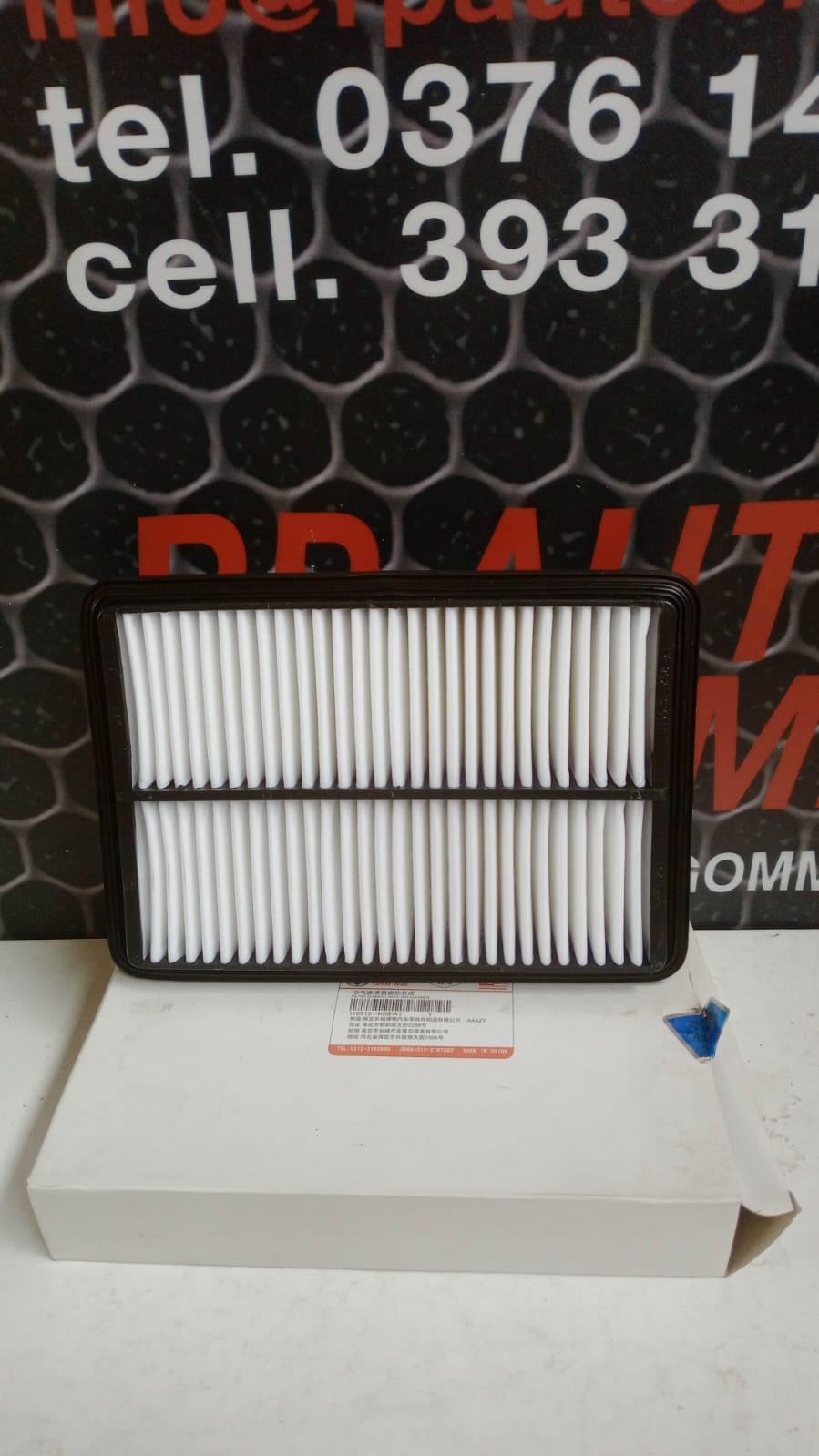 Filtro Aria GREAT WALL MOTOR Wingle 5 Serie (10>21)