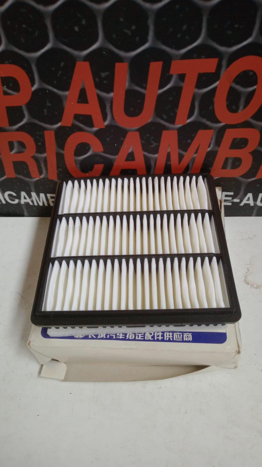Filtro Aria GREAT WALL MOTOR Hover Serie (06>)