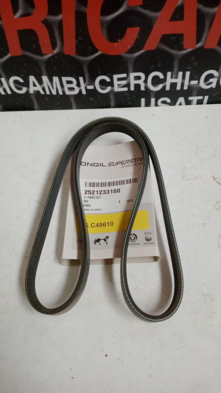 Cinghia Servizi GREAT WALL MOTOR Steed 1° Serie