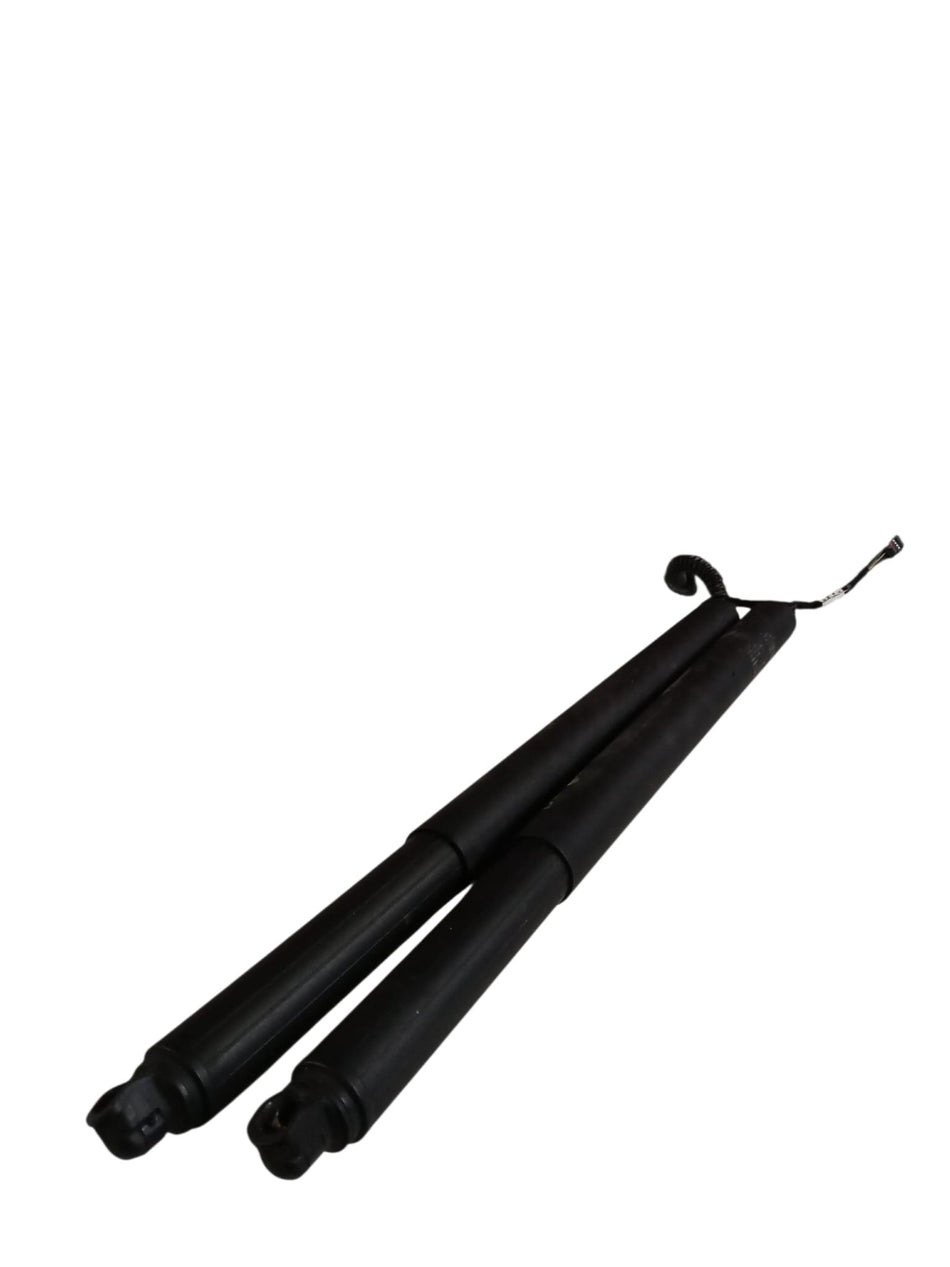 Pistoncini cofano Post. DR 6.0 Serie (22>)
