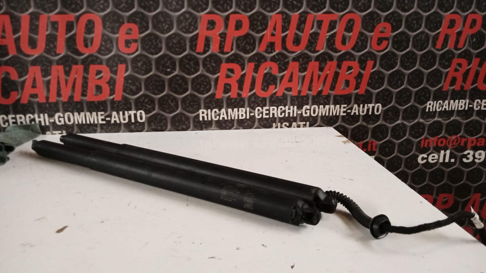 Pistoncini cofano Post. DR 6.0 Serie (22>)