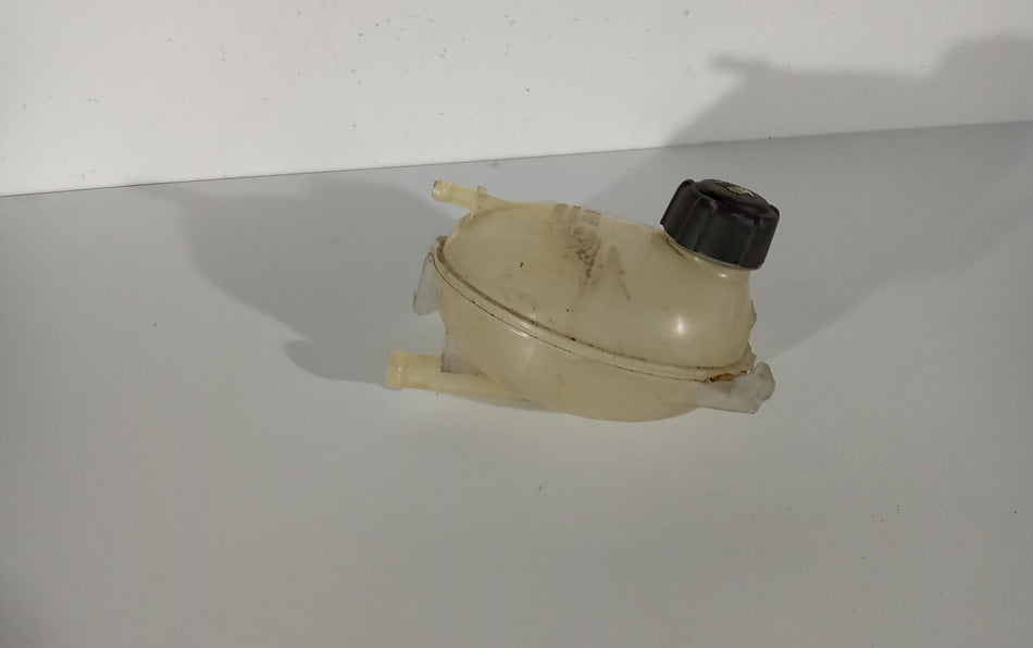 Vaschetta liquido radiatore RENAULT Clio Serie IV (12>19)