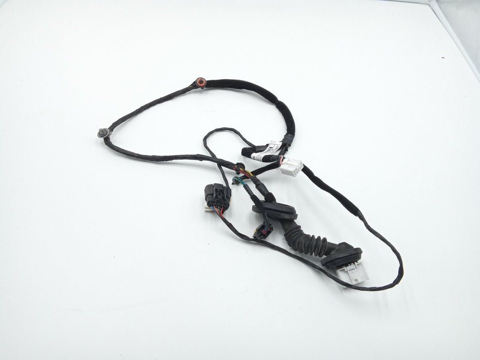 Cablaggio Porta Post SX KIA Sportage Serie (04>10)