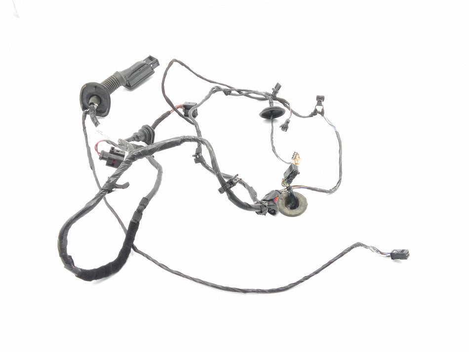 Cablaggio Porta Anteriore Sinistra SEAT Ibiza Serie (12>15)