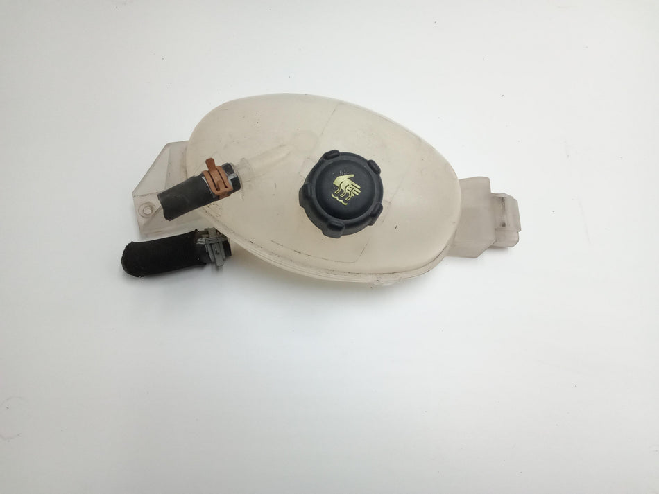 Vaschetta liquido radiatore RENAULT Master 4° Serie
