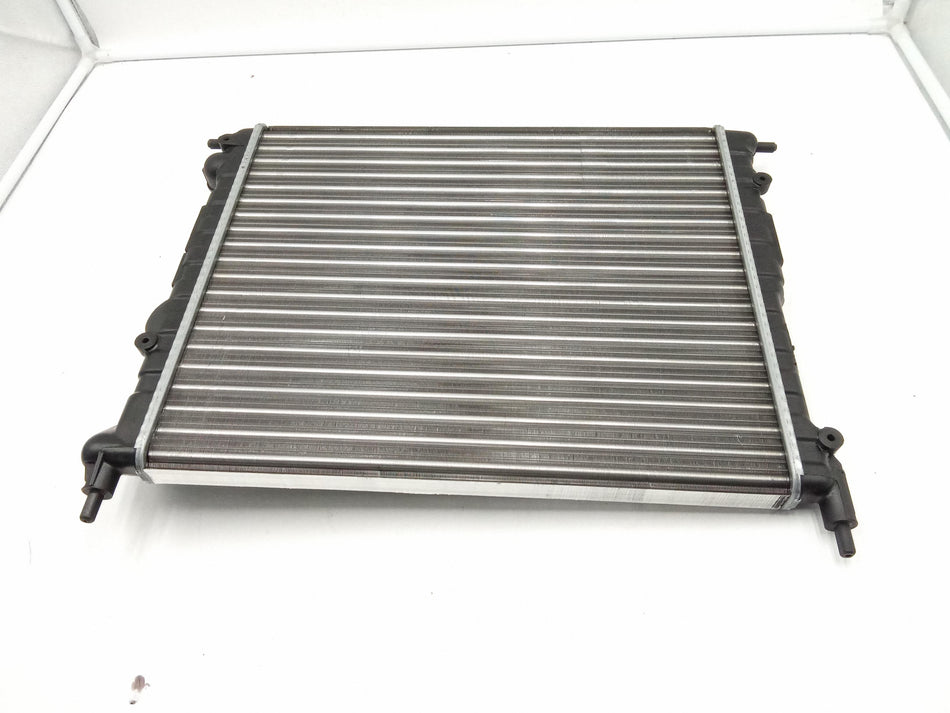 Radiatore acqua RENAULT 21 Serie