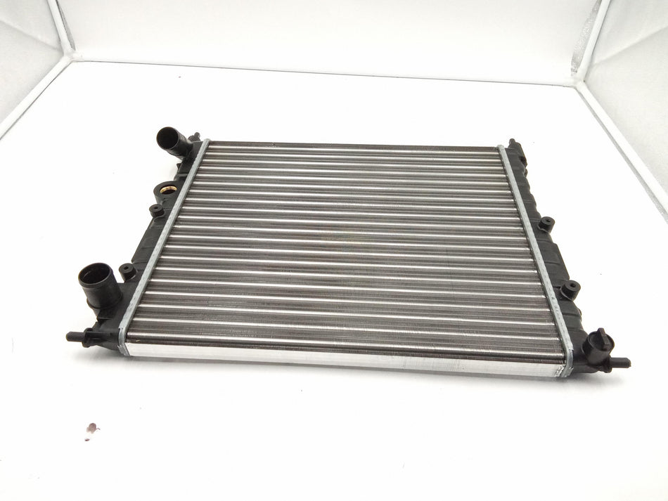 Radiatore acqua RENAULT 21 Serie