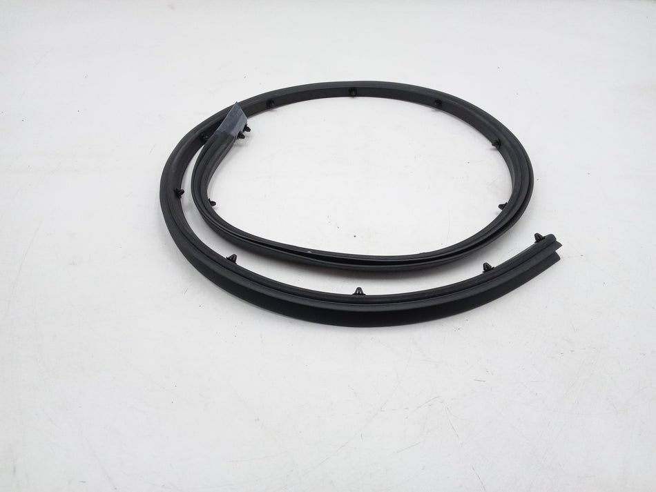 Guarnizione Portiera Posteriore Destra VOLKSWAGEN Golf 6 Berlina (08>12)