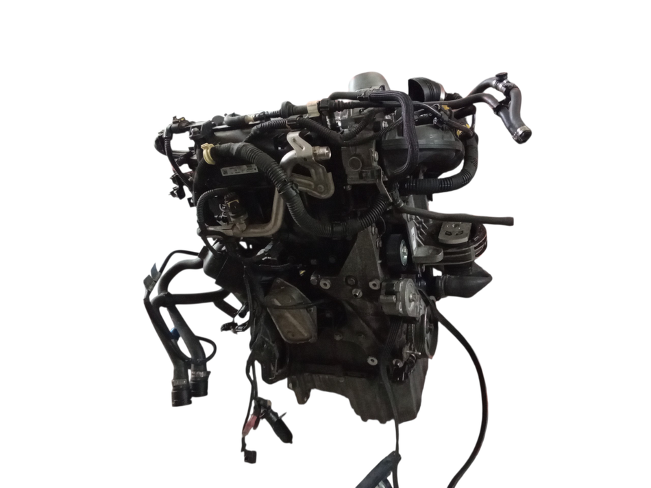 Motore Semicompleto FIAT 500 L Serie (351_352) (12>)