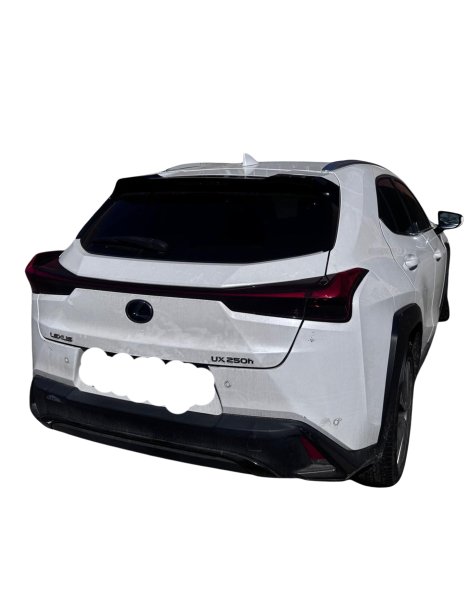 Ricambi usati auto LEXUS UX Serie (19>)