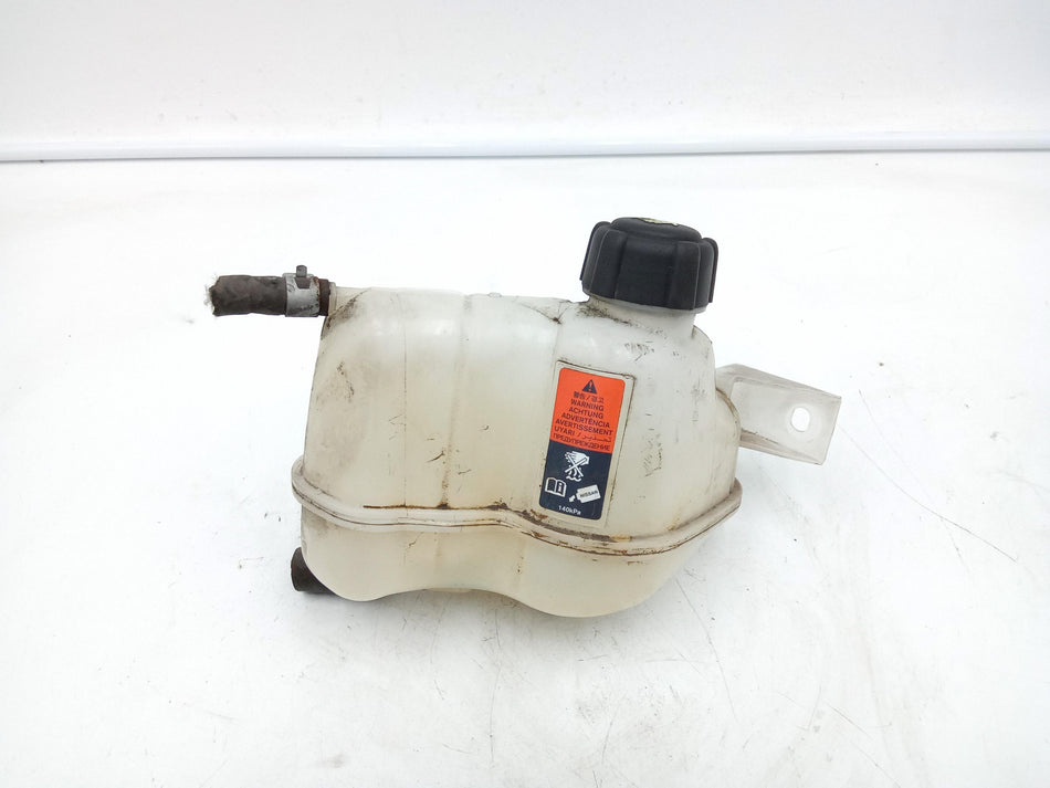 Vaschetta liquido radiatore NISSAN Qashqai Serie