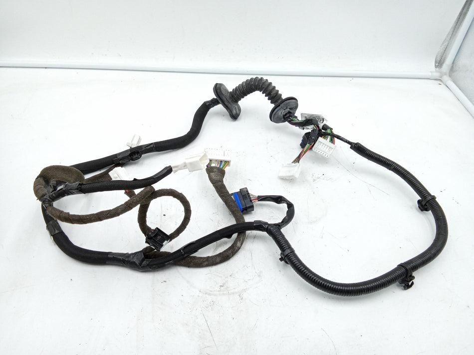 Cablaggio Porta Anteriore Sinistra NISSAN Qashqai Serie