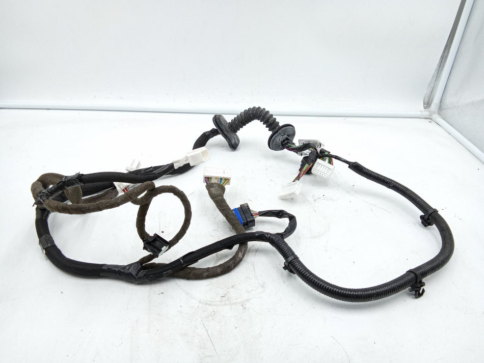 Cablaggio Porta Anteriore Sinistra NISSAN Qashqai Serie