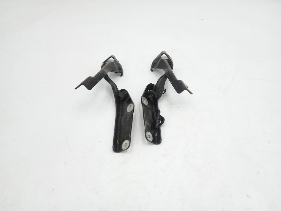 Cerniere cofano anteriore dx e sx CITROEN C3 Serie (09>15)