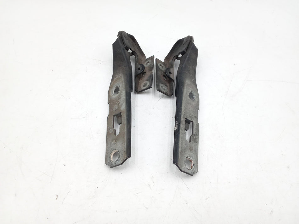 Cerniere cofano anteriore dx e sx AUDI A4 Berlina (07>10)