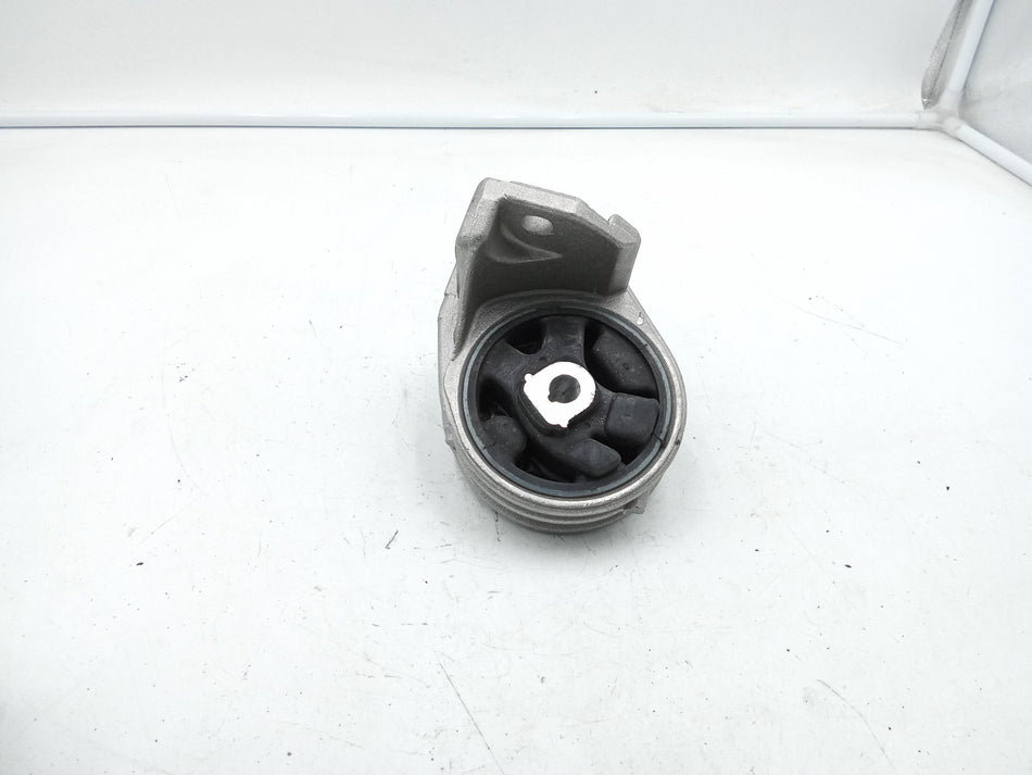Supporto motore RENAULT Megane Scenic (97>01)