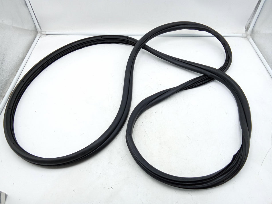 Guarnizione Portiera Anteriore Destra FIAT Punto EVO