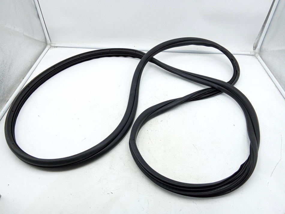 Guarnizione Portiera Anteriore Destra FIAT Punto EVO
