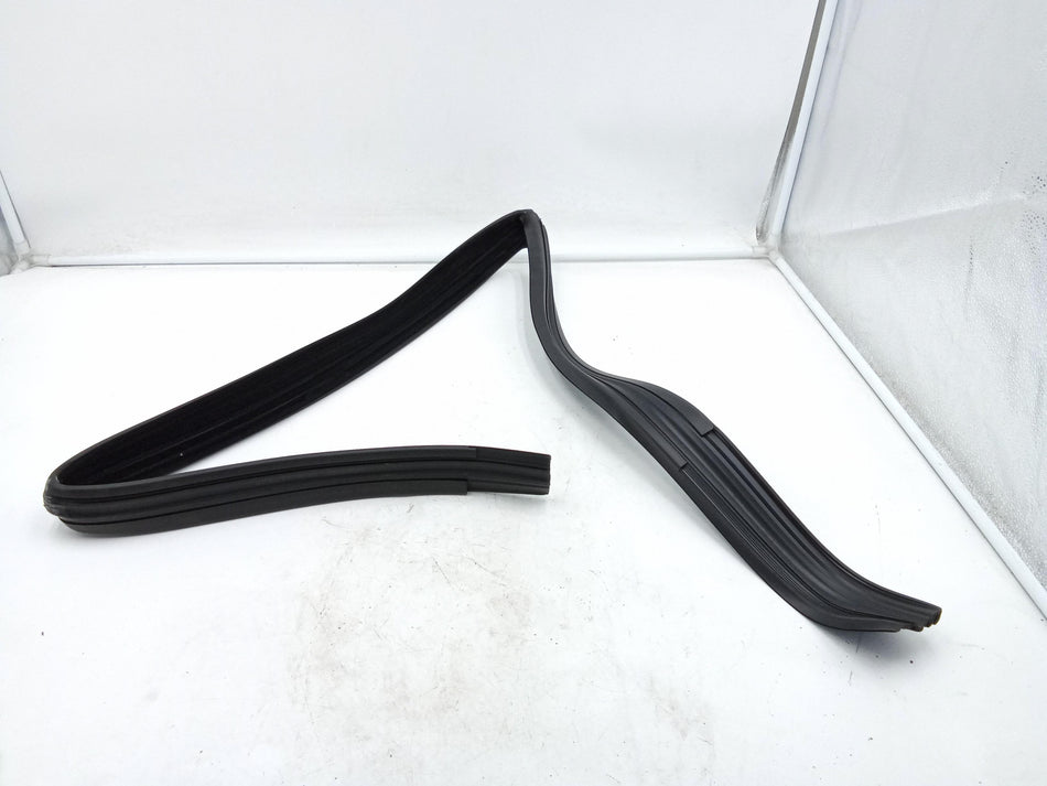 Guarnizione Portiera Posteriore Destra FIAT Qubo 1° Serie