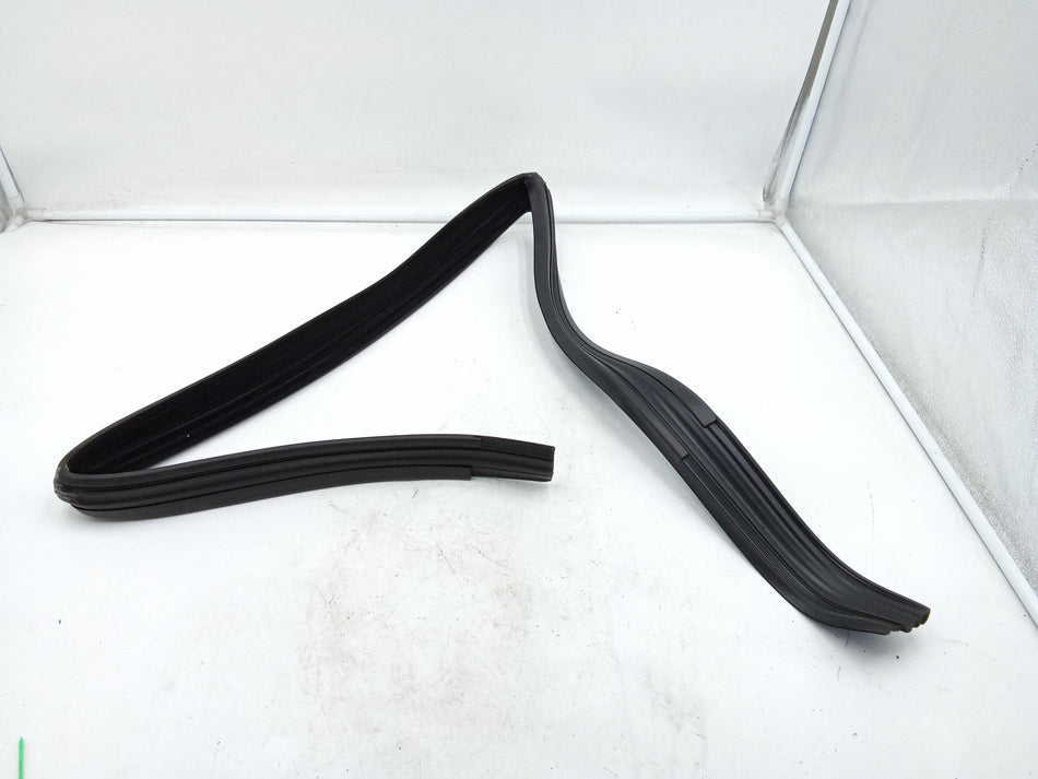 Guarnizione Portiera Posteriore Destra FIAT Qubo 1° Serie