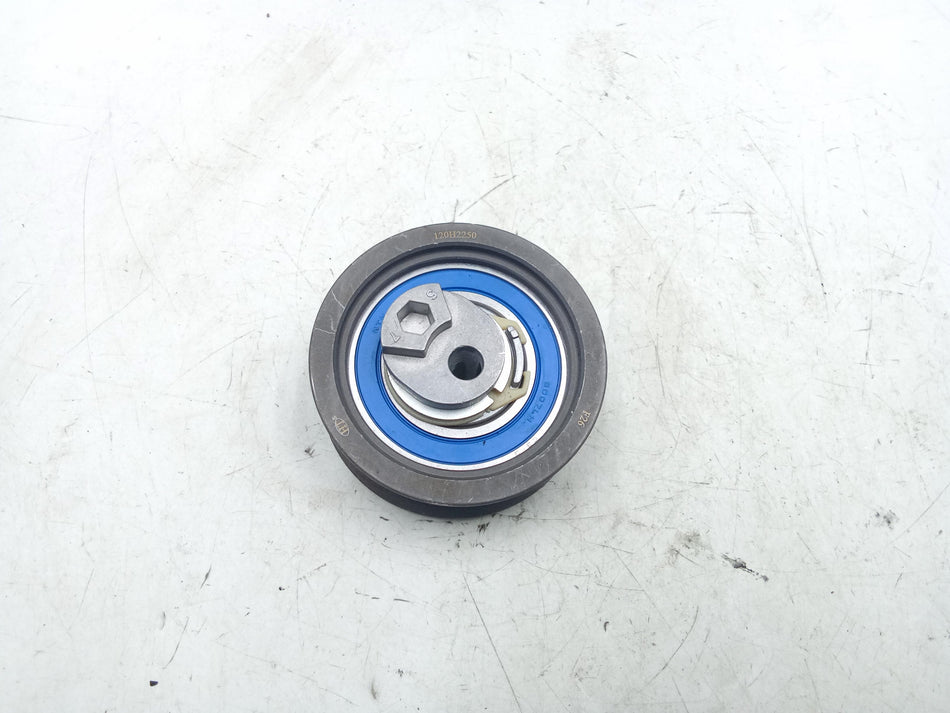 Puleggia guida cinghia VOLKSWAGEN Golf 5 Berlina (03>08)