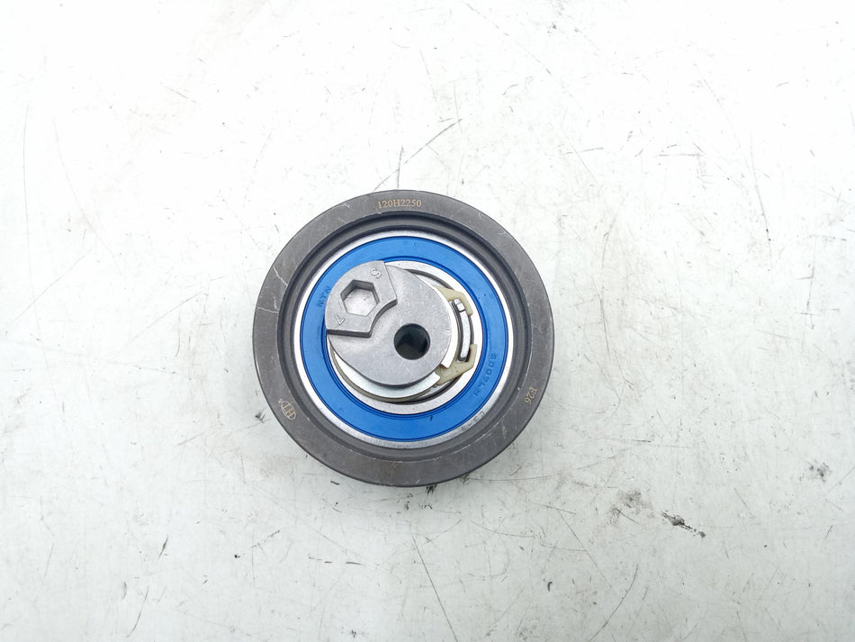 Puleggia guida cinghia VOLKSWAGEN Golf 5 Berlina (03>08)