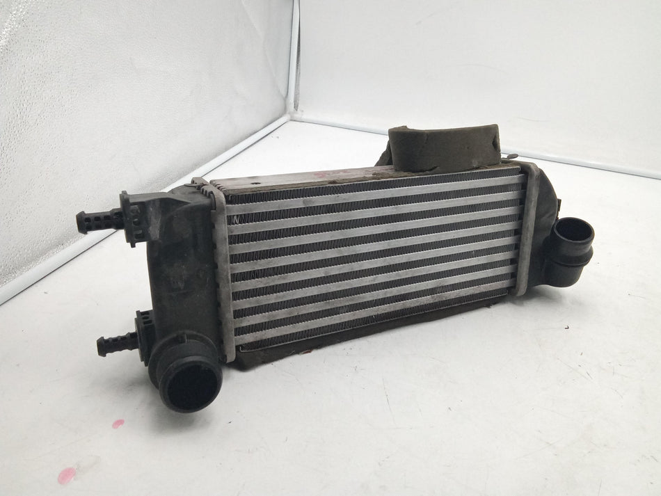 Intercooler FIAT Panda Cross