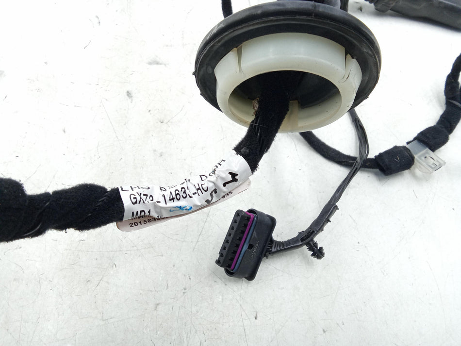 Cablaggio Porta Post SX JAGUAR XE Serie (X760) (15>)