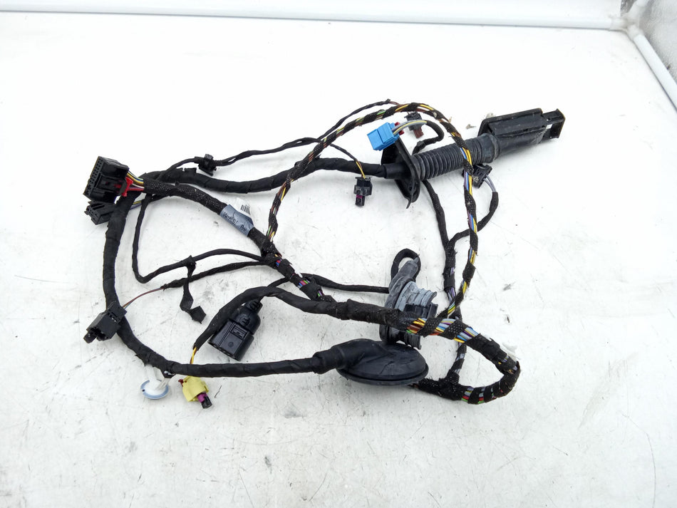 Cablaggio Porta Anteriore Sinistra AUDI A3 Cabriolet Serie (8V7, 8VE) (13>)