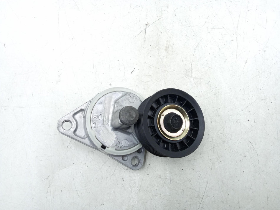 Tendicinghia FORD Focus Berlina 2° Serie