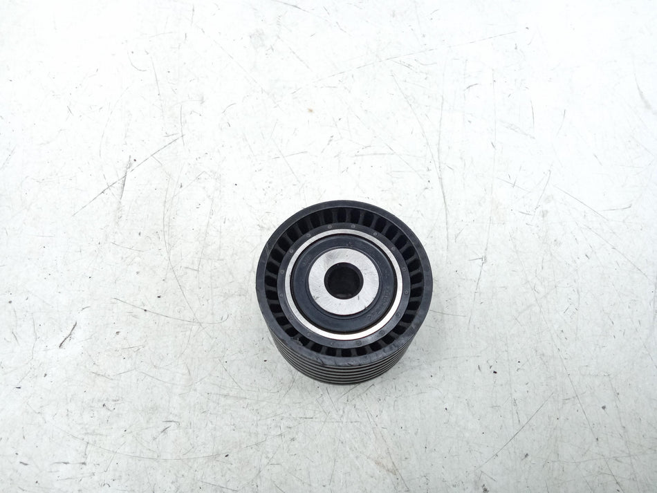 Puleggia guida cinghia RENAULT Clio Serie (99>01)