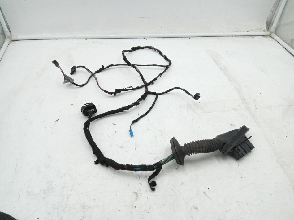 Cablaggio porta anteriore destra BMW Serie 1 Serie (E81) (06>12)