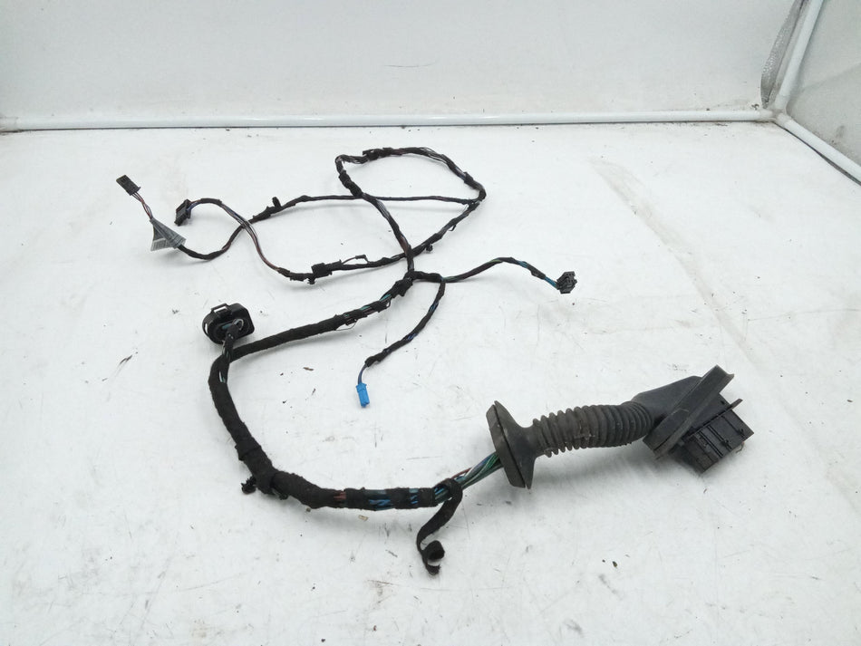 Cablaggio porta anteriore destra BMW Serie 1 Serie (E81) (06>12)