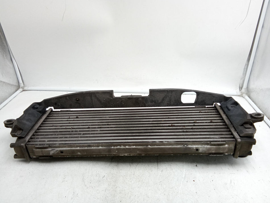 Intercooler RENAULT Trafic Furgone 2° Serie