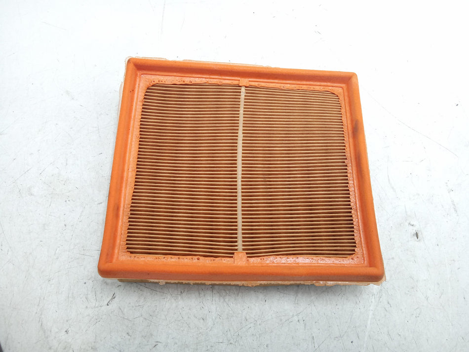 Filtro Aria ROVER Montego Berlina