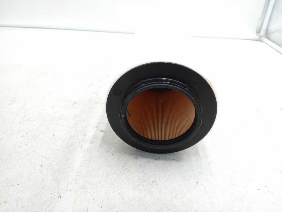 Filtro Aria BMW X1 Serie (E84) (09>15)