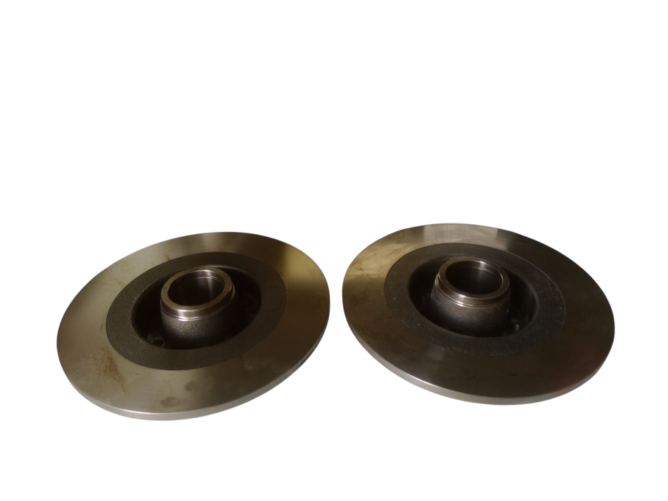 Coppia Dischi Freno Posteriori RENAULT Scenic 3° Serie