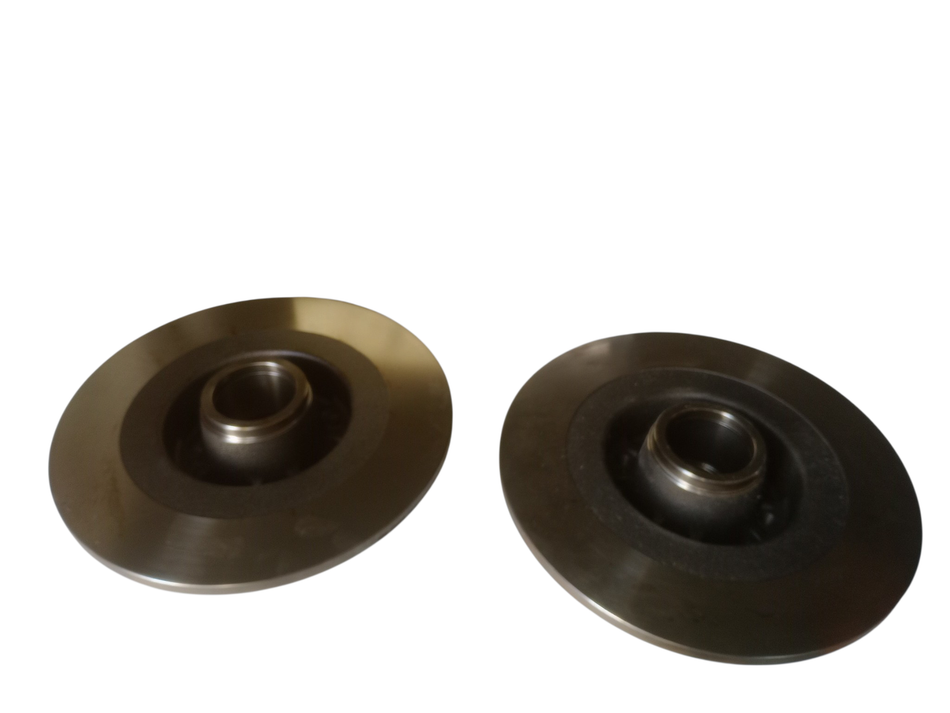 Coppia Dischi Freno Posteriori RENAULT Scenic 3° Serie