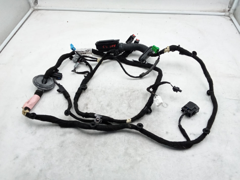Cablaggio Porta Anteriore Sinistra LAND ROVER Discovery Sport (L550) (19>)