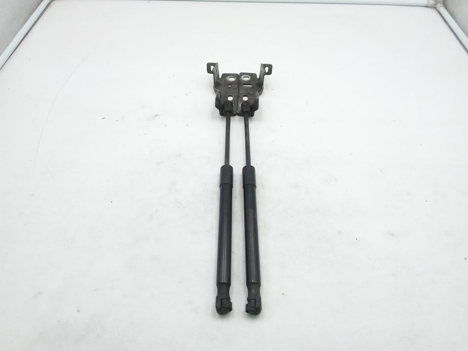 Pistoncini cofano ant LAND ROVER Discovery Sport (L550) (19>)